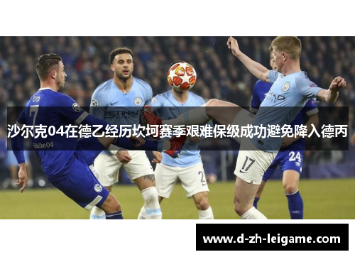 沙尔克04在德乙经历坎坷赛季艰难保级成功避免降入德丙